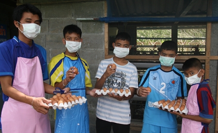 Almost 200 eggs are collected each day.